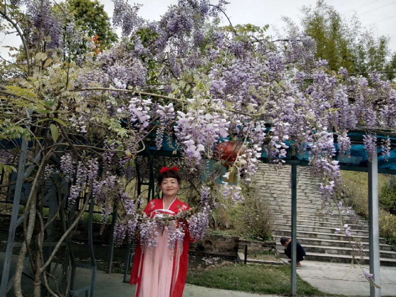 莉莉的第一张照片--宁德婚介网