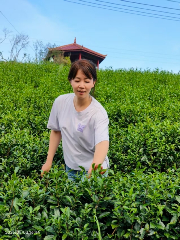Q绮芳的第一张照片--宁德婚介网